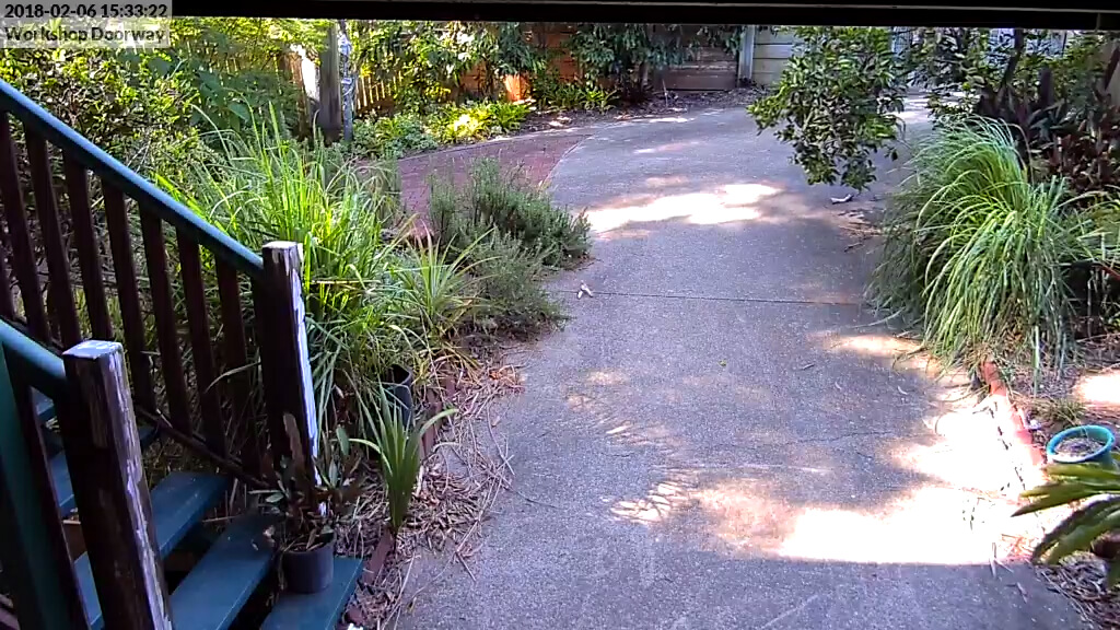 Actual security camera footage in doorway of home